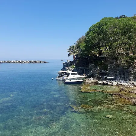 Villa Aegea *